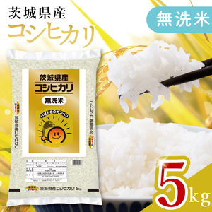 [数量限定]茨城県産 無洗米コシヒカリ5kg[お米 ごはん こしひかり おにぎり ごはん 茨城県 水戸市](JB-18)