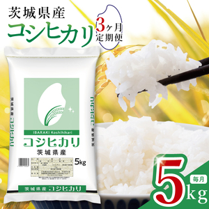 [数量限定][3ヶ月定期便]茨城県産コシヒカリ5kg×3回 [定期便 お米 ごはん こしひかり おにぎり ごはん 茨城県 水戸市](JB-21)