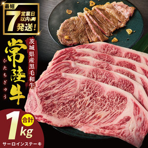 �헤���T�[���C���X�e�[�L 1kg�y�헤�� ���Y�� �a�� ���� �T�[���C�� �X�e�[�L �W���[�V�[ �p�[�e�B�[ ��錧 ���ˎs�z�iNW-4�j