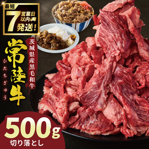 常陸牛切り落とし 500g[常陸牛 国産牛 和牛 牛肉 切り落とし ジューシー 茨城県 水戸市](NW-5)