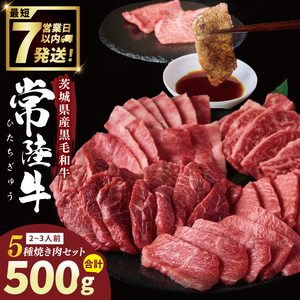 常陸牛5種焼肉セット希少部位入り (2〜3人前 500g)[常陸牛 国産牛 和牛 牛肉 切り落とし 焼肉セット 希少部位 茨城県 水戸市](NW-12)