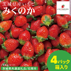 [数量限定][離島配送不可]みくのか 4パック/箱[茨城県共通返礼品/石岡市][いちご イチゴ 苺 果物 くだもの フルーツ 茨城県](LX-8)