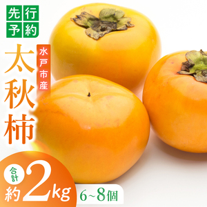 [2026年10月上旬より順次発送][数量限定]太秋柿 約2kg(6-8玉)[フルーツ 果物 柿 甘柿 完熟 くだもの デザート おやつ 水戸市 茨城県](MA-4)