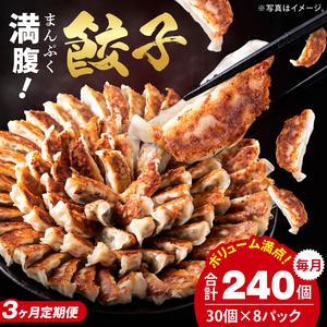 [3ヶ月定期便]満腹餃子 リピーター続出!ボリューム満点!240個(6kg)×3回[老舗 大容量 国産 焼き餃子 冷凍 ぎょうざ ギョーザ 冷凍餃子 簡単調理 惣菜 おかず 水戸市 水戸 茨城県 ](EJ-20)