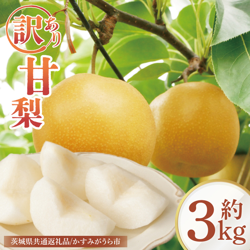 [8月中旬より発送][数量限定]訳あり 甘梨(なし) 約3kg(茨城県共通返礼品/かすみがうら市)(FW-8)