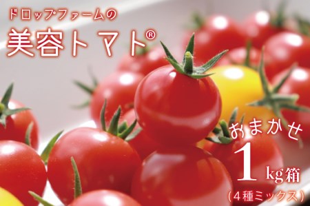 ドロップファームの美容トマトおまかせ1kg箱(4種ミックス)