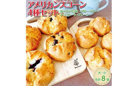 アメリカンスコーン4種(大・小)セット [ベーカリー パン おやつ 食事 セット 詰め合わせ 卵不使用 焼き菓子 梅ジャム ブルーベリー チョコレート 冷凍 水戸市 水戸 茨城県](DD-6)