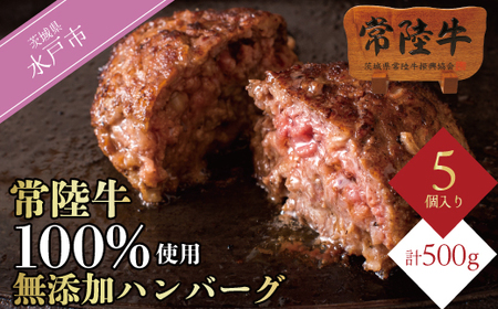 ハンバーグ 5個 セット お中元 ギフト 10000円 常陸牛100% 無添加 手捏ねハンバーグ 100g 5個入り 誕生日プレゼント 食べ物 冷凍 小分け 焼くだけでレストランの味 黒毛和牛 茨城県 水戸市 ※離島への配送不可(北海道、沖縄本島は配送可能)(DU-6)