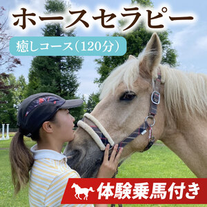 ホースセラピー・癒しコース(120分)[乗馬 馬 ポニー サラブレッド ブラッシング リラクゼーション 水戸市 茨城県](EY-1)