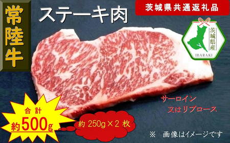 y헤zXe[Lp 500gi錧ʕԗijy헤@錧Y@sz