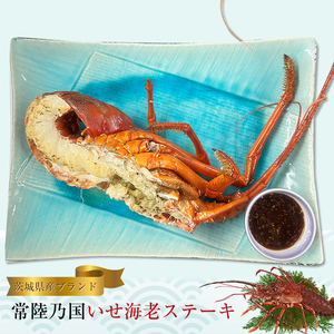 [茨城県産ブランド]常陸乃国いせ海老ステーキ[ 伊勢海老 茨城県 日立市 ]