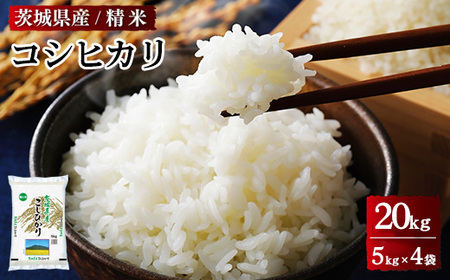 令和6年産 茨城県産 コシヒカリ 精米 合計20kg（5kg×4袋） ※離島への配送不可 ｜ コシヒカリ ｺｼﾋｶﾘ お米 米 精米 白米 20kg  お弁当 もちもち 国産 送料無料 ブランド米 