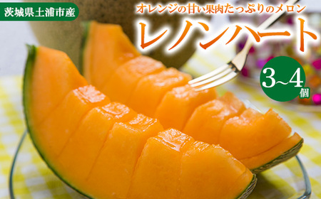 【先行予約】レノンハート3～4個　※離島への配送不可　※2026年5月下旬～6月下旬頃に順次発送予定