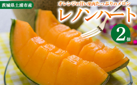 【先行予約】レノンハート2個　※離島への配送不可　※2026年5月下旬～6月下旬頃に順次発送予定