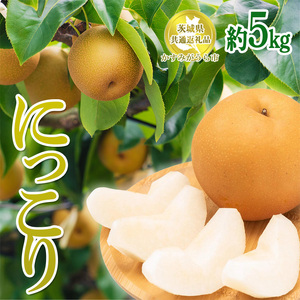 錧Yyɂ藜z5kgy錧ʕԗi@݂sYz2025N9`12{ɏ\ ւ̔zs