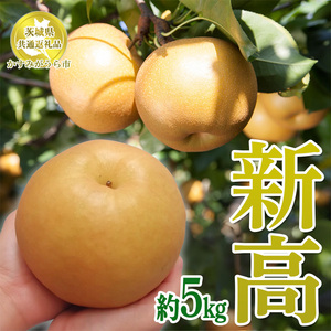 錧YyVz5kgy錧ʕԗi@݂sYz2025N9{`12{ɏ\ ւ̔zs