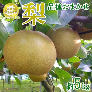 錧Y yi킨܂z5kgy錧ʕԗi@݂sYz2025N9{`2026N1{ɏ\ ւ̔zs