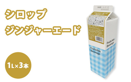 シロップ ジンジャーエード(辛口タイプ) スミダ飲料 1000ml (1L) ×3本 ※離島への配送不可