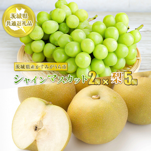 VC}XJbg2[Ɨ5y錧ʕԗi@݂sYzʕ  t[c Ԃǂ uhE  Ȃ  ① N[ց@2025N8{`10{ɏ\