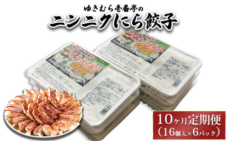【10ヶ月定期便】ゆきむら壱番亭のニンニクにら餃子6パック(96個入り) ※離島への配送不可