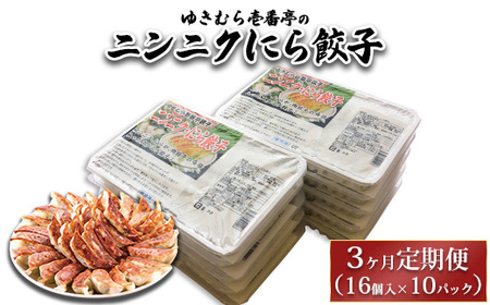 【3ヶ月定期便】ゆきむら壱番亭のニンニクにら餃子10パック(160個入り) ※離島への配送不可