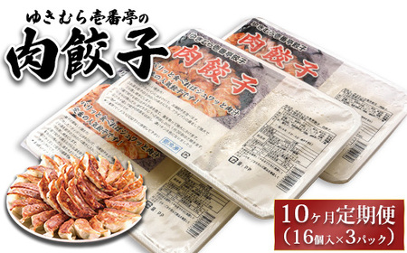 【10ヶ月定期便】ゆきむら壱番亭の肉餃子3パック(48個入り) ※離島への配送不可