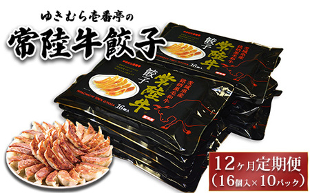 【12ヶ月定期便】ゆきむら壱番亭の常陸牛餃子10パック(160個入り) ※離島への配送不可