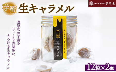 𖨐L12 2Zbg@ւ̔zs