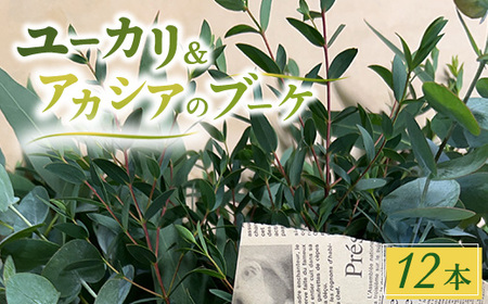 ユーカリ、アカシアのブーケ 12本セット ※2026年10月上旬〜11月下旬頃に順次発送予定 ※離島への配送不可