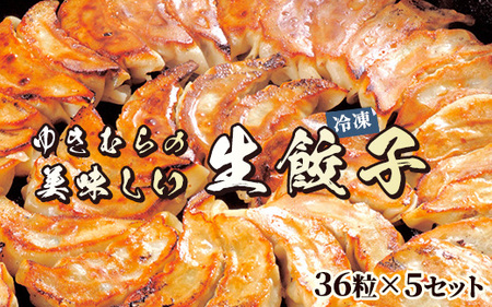 ゆきむらの美味しい生餃子(冷凍)　36粒×5セット