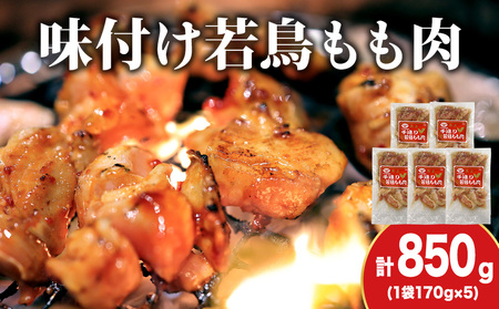yv HXztᒹ{170g@5