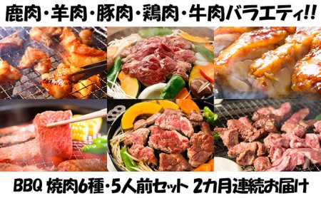 [2カ月連続]エンジョイ!BBQセット 〜焼肉6種 5人前コース〜