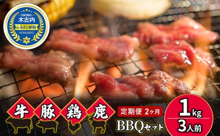 2カ月 定期便 5種のお肉 BBQセット 牛 豚 鶏 鹿肉 3人前 1kg 焼肉