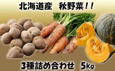 北海道産！あきやまさん家の秋野菜３種詰め合わせ 5kg