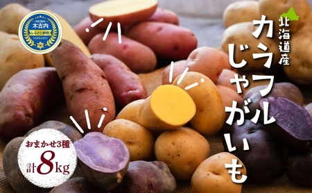 ≪先行予約9月から配送≫北海道産 じゃがいも3種食べ比べ 約8kg