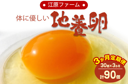 [定期便3か月]江原ファーム 体に優しい地養卵(30個) ※着日指定不可 たまごタマゴ玉子卵