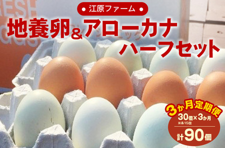 [定期便3か月]江原ファーム 地養卵&アローカナハーフセット(30個) ※着日指定不可