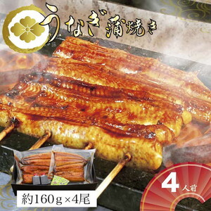 Ȃ4lOi1lO160g×4jppbP[W _AT21