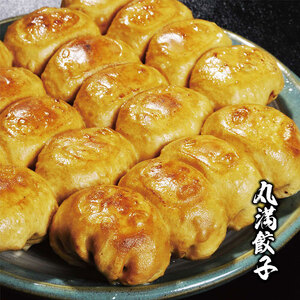 焼餃子三昧セット(MG+)焼餃子14包み(28人前) ※着日指定不可 _CO17