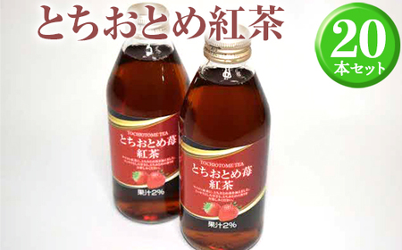 とちおとめ紅茶20本セット ※着日指定不可 イチゴ 苺 いちご ティー 紅茶