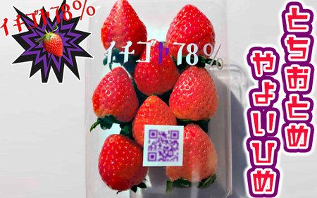 ���������ā`�I�I�Â��I���������I�ƍJ�ŉ\��䕂������ς��H�ׂĂ�l���H�ׂĂق���&hearts �Ƃ����Ƃ�260g×2����悢�Ђ�260g×2 ���k�C���E����E�����ւ̔z���s�� ��2025�N12�����{�����