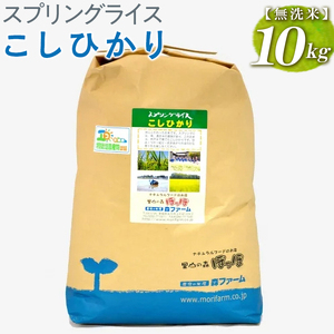 [新米]スプリングライス こしひかり (無洗米)10kg コシヒカリ ※着日指定不可 _BI40