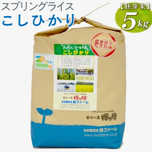 [新米]スプリングライス こしひかり (胚芽米)5kg コシヒカリ ※着日指定不可 _BI49