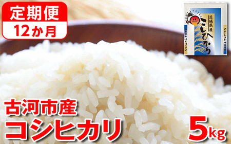 【定期便 12か月】令和5年産 古河市産コシヒカリ 5kg 米 こめ コメ こしひかり 単一米 国産_DP36