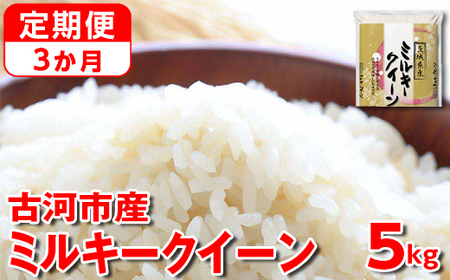 【新米】【定期便 3か月】令和6年産 古河市産ミルキークイーン 5kg _DP37