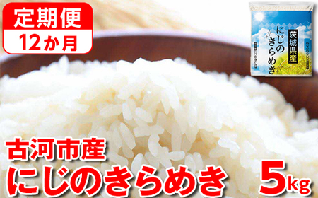 【定期便 12か月】令和5年産 古河市産にじのきらめき 5kg 米 こめ コメ にじきら にじのきらめき 単一米 国産_DP42