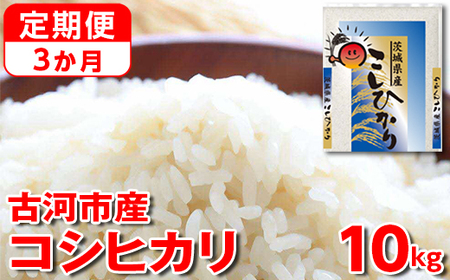 [定期便 3か月][新米]令和6年産 古河市産コシヒカリ 10kg◇|米 コメ こめ ごはん ご飯 ゴハン 白飯 単一米 国産 コシヒカリ こしひかり 10kg 定期便 3ヶ月 3回 茨城県 古河市_DP43