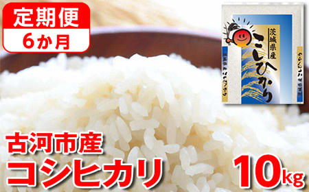 y 6zyVāzߘa7NY É͎sYRVqJ 10kgi5kg×2܁jb R  ͂  Sn  P Y RVqJ Ђ 10kg  6 6 錧 É͎s _DP44