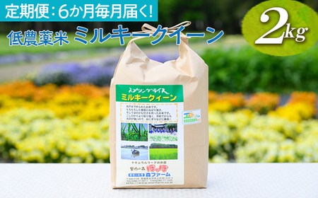 【定期便】6か月毎月届く！低農薬米ミルキークイーン2kg | 米 こめ コメ ご飯 玄米 単一米 国産 茨城県産 _BI95