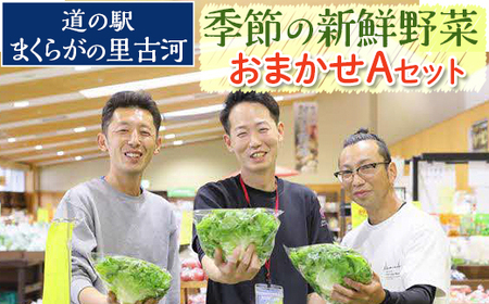 道の駅まくらがの里古河 季節の新鮮野菜おまかせAセット ※北海道・沖縄・離島への配送不可 _BQ03